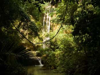 Escursione avventurosa alla cascata El Limón con pranzo tradizionale