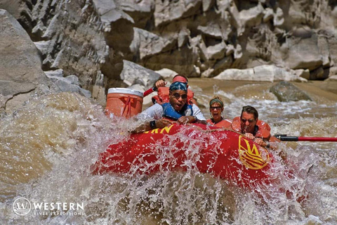 Cañón Westwater: Aventura de rafting en aguas bravas de un día completoSin servicio de recogida