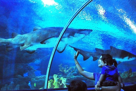 Kuala Lumpur: Bilet wstępu do Aquaria KLCCWejście w dni powszednie dla osób spoza Malezji