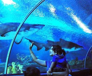 Aquaria KLCC Giriş Bileti