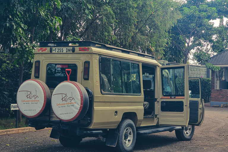 Aventura de 4 días en Camping Privado en el Serengeti