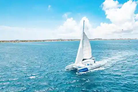 Palm Beach: Champagne Brunch and Aqua Safari