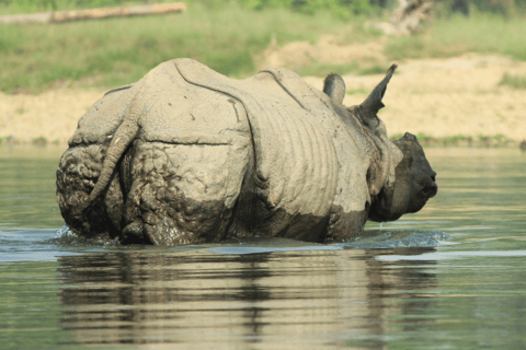 Nepal: 9-tägige private Tour mit Unterkunft und Verpflegung