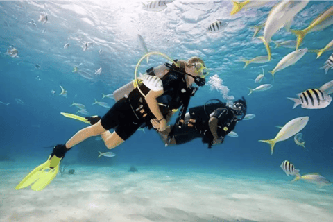 Boracay Diving w/ Pictures & Video or Fun Dive - Image 2