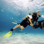 Boracay Diving w/ Pictures & Video or Fun Dive Boracay Diving w/ Pictures & Video or Fun Dive