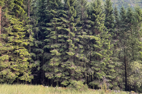 Bergen: Hiking Tour with Navigation Course