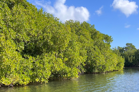 Explore the mangrove and Pointe Sable in Guadeloupe