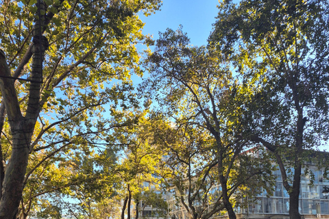 Viña del Mar: Guided Walking Tour with Museums