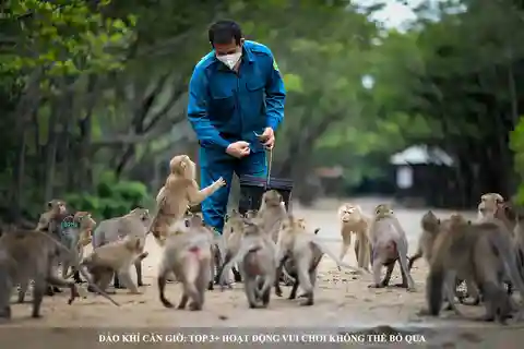 Desde Ho Chi Minh Bosque de manglares de Can Gio e Isla de los Monos