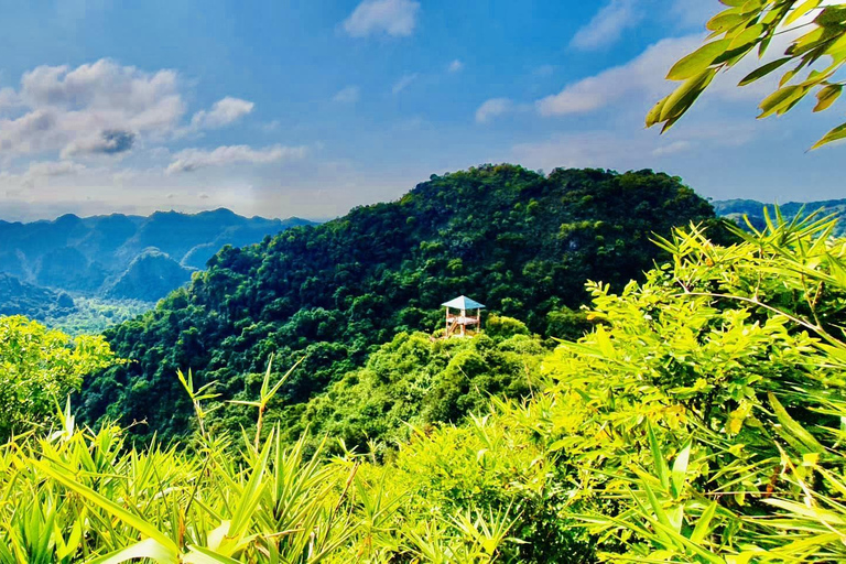 Cat Ba: Half Day Trekking to Visit Cat Ba National Park