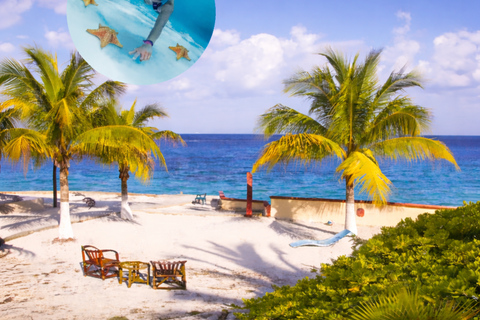 Essential Cozumel: Turquoise Sea, Snorkeling and El Cielo Beach Cozumel Essentials: Turquoise Sea, Snorkeling, and El Cielo Beach