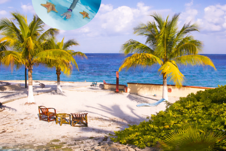 Essential Cozumel: Turquoise Sea, Snorkeling and El Cielo Beach Cozumel Essentials: Turquoise Sea, Snorkeling, and El Cielo Beach