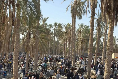 From Djerba: Douz, Matmata Star Wars Sites & local market