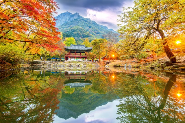 Visit From Busan Naejangsan or Best daily spots Fall Foliage Tour in Jeju Island