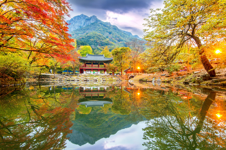 Busan: Naejangsan National Park Autumn Foliage One Day Tour Shared Naejangsan Tour, Meet at Haeundae Station