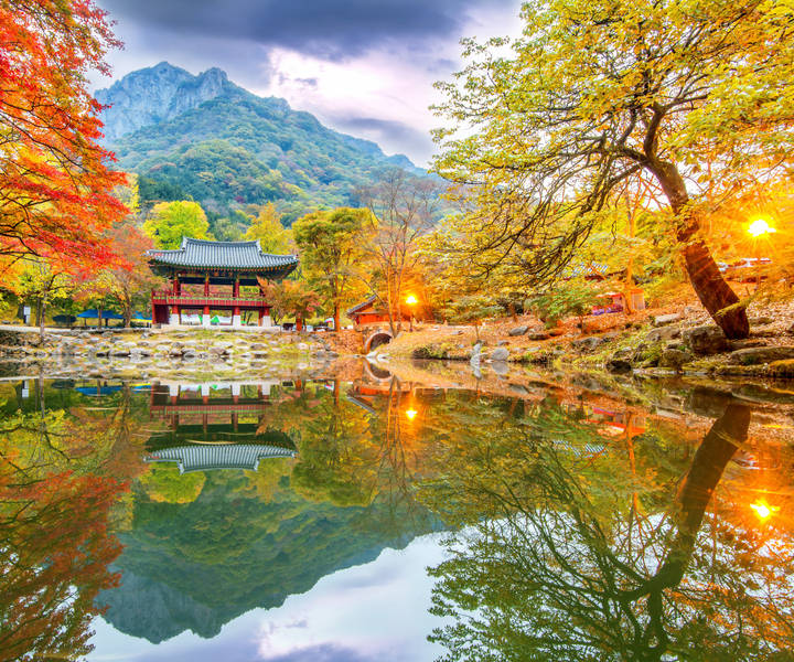 Da Busan: Naejangsan o i migliori spot giornalieri Fall Foliage Tour
