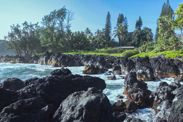 From Maui: Road to Hana Rainforest and Waterfall Experience