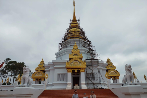 Chiang Rai: Mountains Discovery Doi Mae Salong & Doi Tung Mountains Discovery:Doi Mae Salong & Doi Tung (Private Tour)