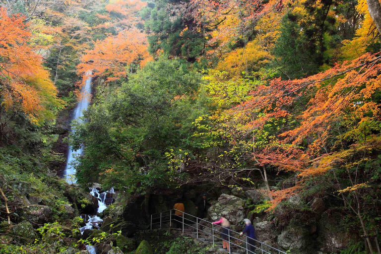 From Nagoya: Kegonji Temple, Yoro Park & Kiyosu Castle Tour