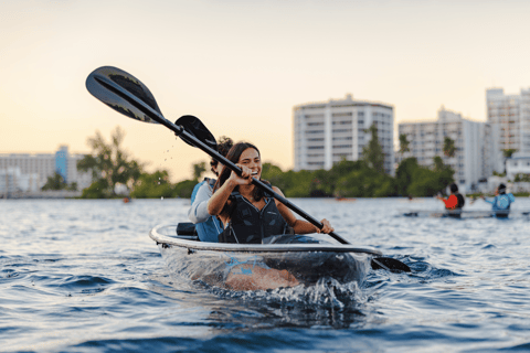 San Juan: Glass-Bottom Kayak Rental at Condado Lagoon