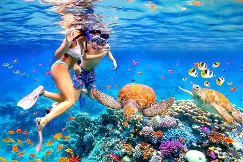 Sharm: Blue Hole Magic & Dahab Vibes w/Snorkeling & Lunch