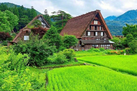 Viagem privada de 1 dia a Shirakawa-go e Takayama