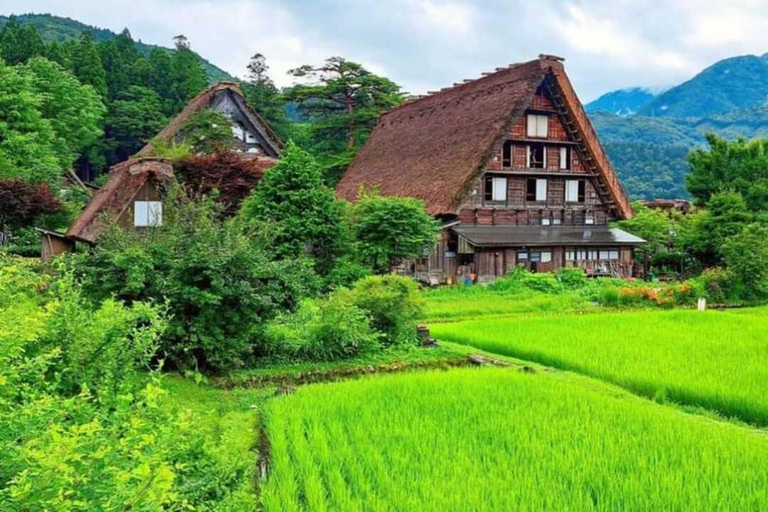 Escursione privata di una giornata a Shirakawa-go e Takayama