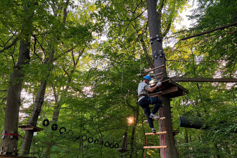 Kelkheim: Outdoor climbing experience in the forest ropes course with circuit and zip lines