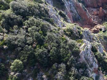 Ajaccio: Scandola - Girolata - Piana - Capo Rosso Tour