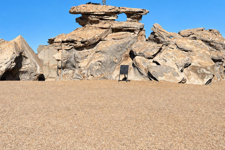Uyuni Salt Flats & Colorful Lagoons: 3-Day Journey Uyuni Tour with Local Spanish Driver