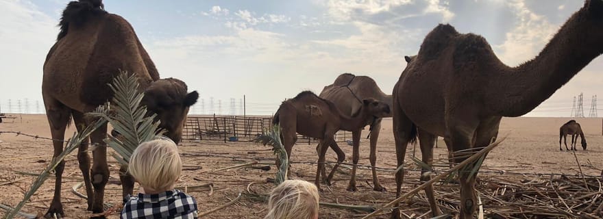 Depuis Koweït : visite guidée premium d'une journée