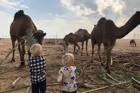 Kuwait Tour Guide Ganztag mit Komfort SUV Auto&WIFI 5G Frei