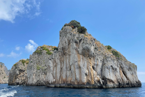 Blue Tour Capri (island tour by boat) departing from Naples