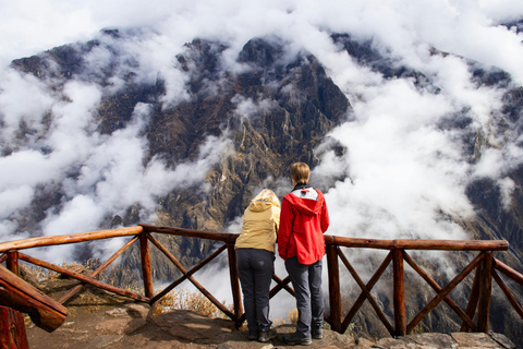 From Arequipa: Colca Canyon and Andean Wildlife Day Trip