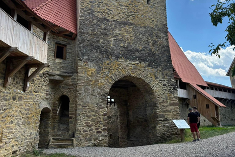 Saxon Villages Tour: Viscri, Rupea Fortress, Criț & Saschiz