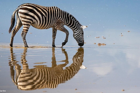 From Nairobi: National Park & Maasai Mara Safari Guided Tour