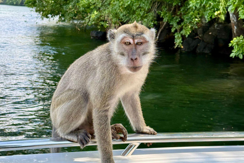 Trou D&#039;Eau Douce: Wycieczka po 5 wyspach Mauritiusa z lunchem/napojami