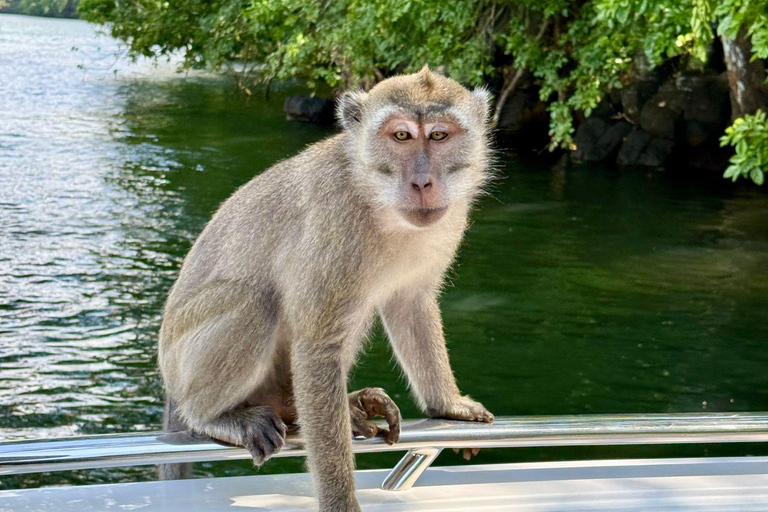 Trou D&#039;Eau Douce: Wycieczka po 5 wyspach Mauritiusa z lunchem/napojami