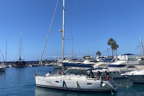 Puerto Colon: Walbeobachtungstour mit Mahlzeit und Schwimmen