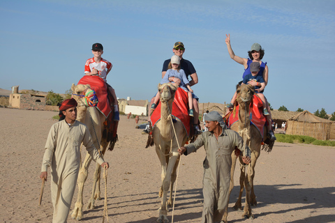 camel ride with sunset and star watching