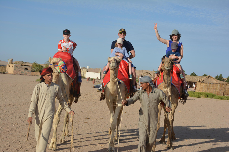 Passeio de camelo com pôr do sol e observação de estrelasServiço de busca no hotel em Hurghada