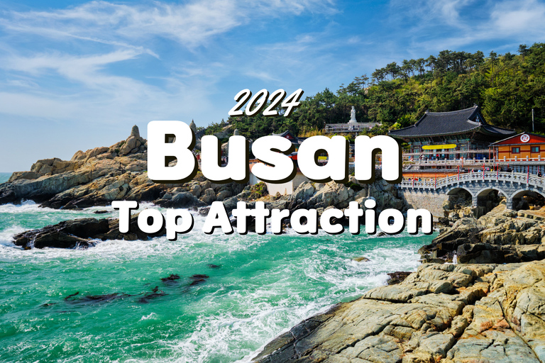 Busan City : Top Attractions One-Day Guided Tour (visite guidée d&#039;une journée)