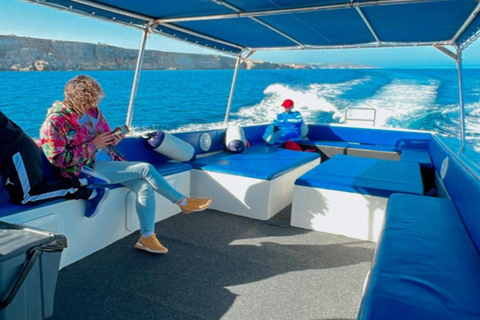 Desde Mellieħa: Crucero de medio día con las lagunas Azul y de Cristal