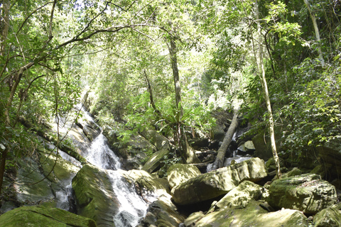 Tanzania: 8-Day Road Trip to Kilimanjaro, Lushoto & More