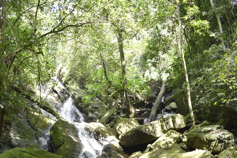 Tanzania: 8-Day Road Trip to Kilimanjaro, Lushoto & More