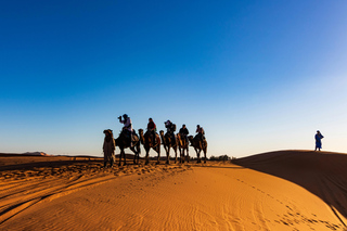 Tour ed escursioni di più giorni da Marrakech