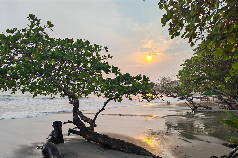 Private Tour Manuel Antonio Beach Club & Wildlife Day Trip
