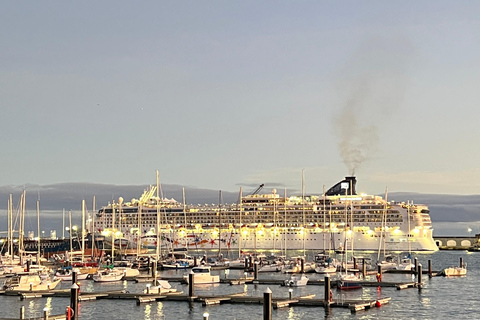 Ponta Delgada: Private Furnas Valley Shore Excursion