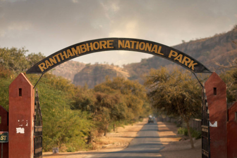从斋浦尔出发：Ranthambore 出租车之旅从斋浦尔出发：乘坐出租车游览兰特汉博尔