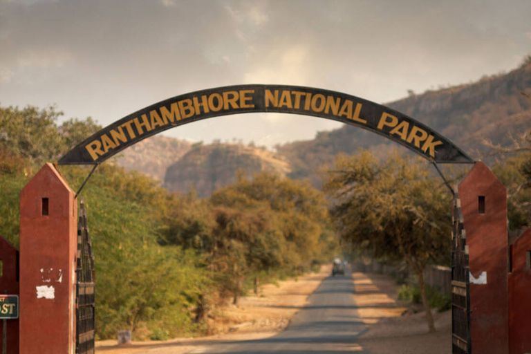 从斋浦尔出发：Ranthambore 出租车之旅从斋浦尔出发：乘坐出租车游览兰特汉博尔